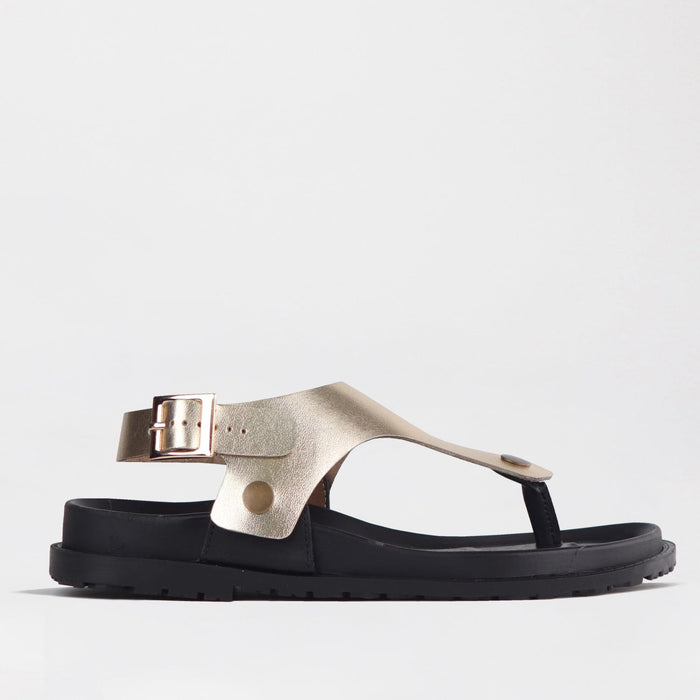 Froggie Sling back buckle in Gold STRAP ONLY - 12717 - single side.