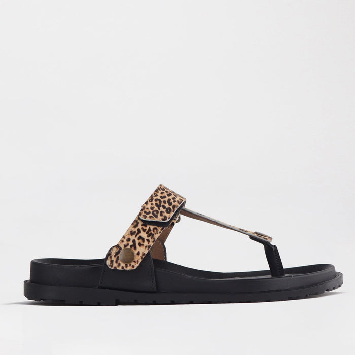 Froggie Velcro T-Bar cheetah STRAP ONLY - 12731 - side angle.
