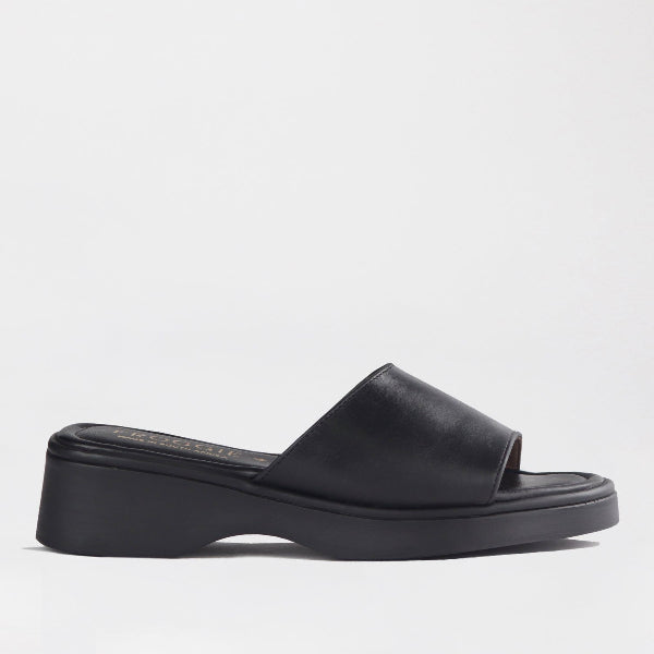 Factory Shop Shoes 3 / Black / 12925 Froggie Women's Mule Sandal in Black - 12925