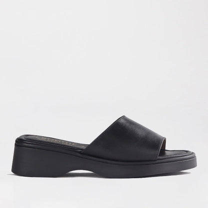 Factory Shop Shoes 3 / Black / 12925 Froggie Women's Mule Sandal in Black - 12925
