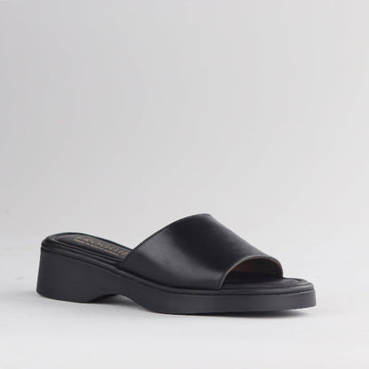 Factory Shop Shoes Froggie Women's Mule Sandal in Black - 12925