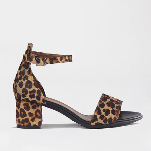 Froggie Shoes Shoes Froggie Women's Closed back ankle strap Sandal-Cheetah Print Leather- 11879