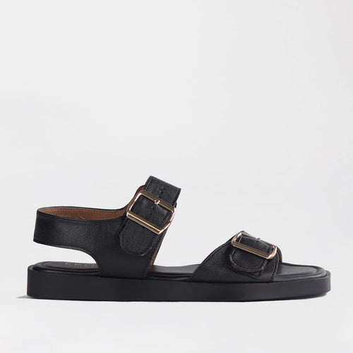 Froggie Shoes Shoes Froggie Women's Double Buckle Sandal- Black Leather - 12881