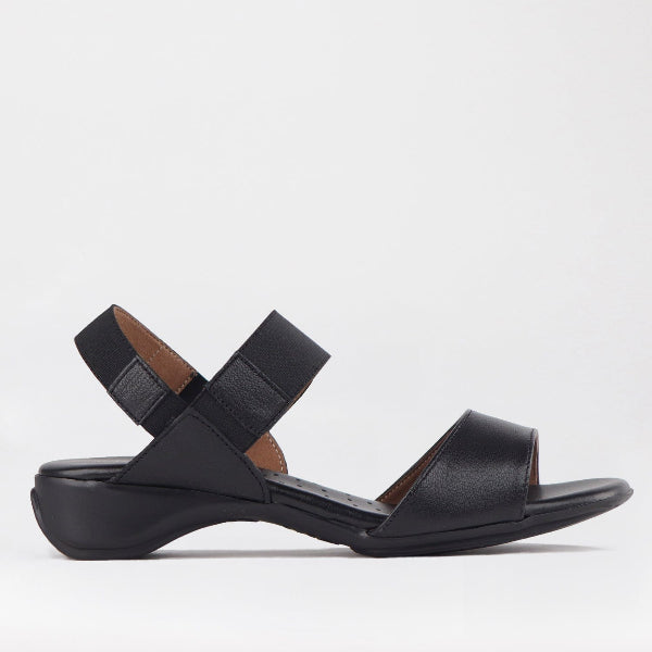 Factory Shop Shoes Froggie Women's Elasticated Strap Sandal in Black - 12550