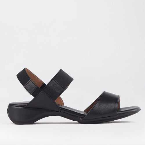 Factory Shop Shoes Froggie Women's Elasticated Strap Sandal in Black - 12550