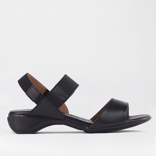 Factory Shop Shoes Froggie Women's Elasticated Strap Sandal in Black - 12550