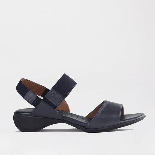 Factory Shop Shoes Froggie Women's Elasticated Strap Sandal in Navy - 12550