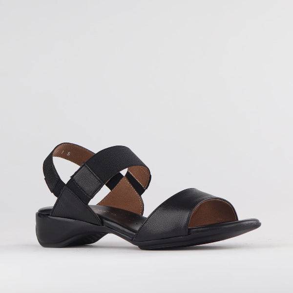 Factory Shop Shoes Froggie Women's Elasticated Strap Sandal in Black - 12550