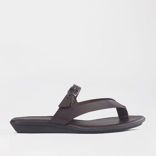 Froggie Shoes Shoes 4 / Brown / 13136 Flat Buckle Thong