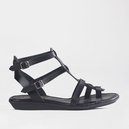 Froggie Shoes Shoes 4 / Black / 13135 Gladiator Sandal