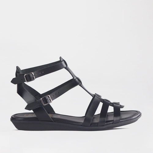 Froggie Shoes Shoes 4 / Black / 13135 Gladiator Sandal