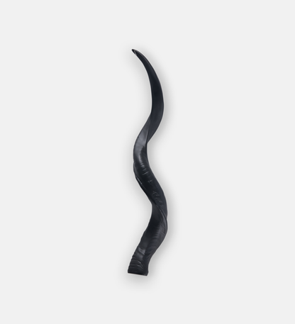 Kudu Horn Plain (91670)