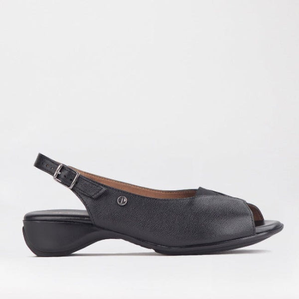 Froggie Open Toe Slingback Sandal in Black - 10345 - single side.