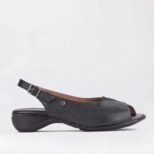 Froggie Open Toe Slingback Sandal in Black - 10345 - single side.