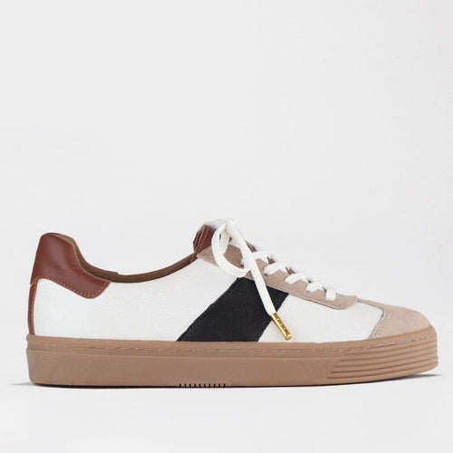 Froggie Shoes Shoes Froggie Womens Retro Lace-up Sneaker- Multi Coloured Leather and Suede -12795