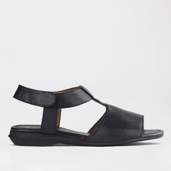 Factory Shop Shoes 3 / Black / 12554 Froggie Women's Slingback Sandal in Black - 12554