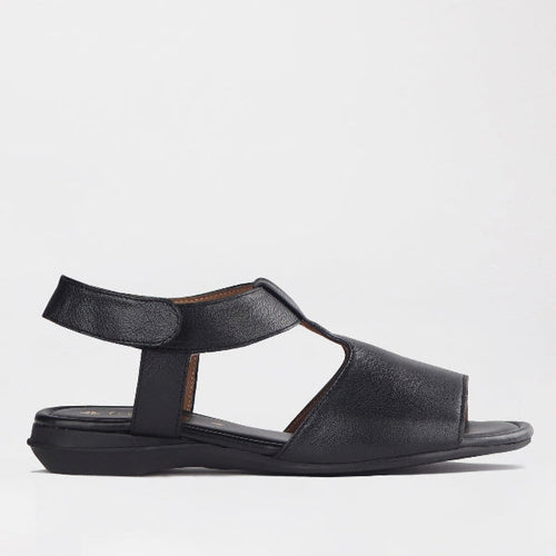 Factory Shop Shoes 3 / Black / 12554 Froggie Women's Slingback Sandal in Black - 12554