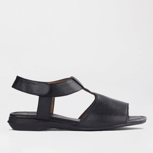Factory Shop Shoes 3 / Black / 12554 Froggie Women's Slingback Sandal in Black - 12554