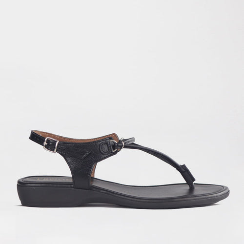 Froggie Women’s Spaghetti Thong Sandal- Black Leather- 13075