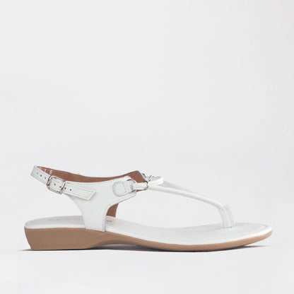 Froggie Women’s Spaghetti Thong Sandal- White Leather- 13075