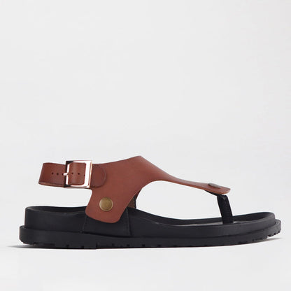 Froggie Sling back buckle in Chestnut STRAP ONLY - 12717 - single side.