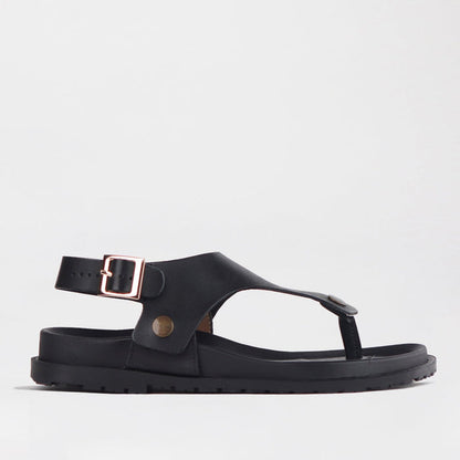 Froggie Sling back buckle in Black STRAP ONLY - 12717 - single side.