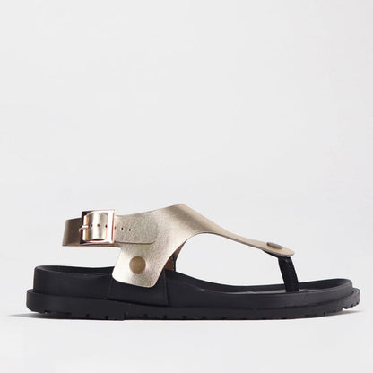 Froggie Sling back buckle in Gold STRAP ONLY - 12717 - single side.