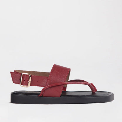 Froggie Shoes Shoes 4 / Red / 12868 Toe Thong flat sandal in Red - 12868