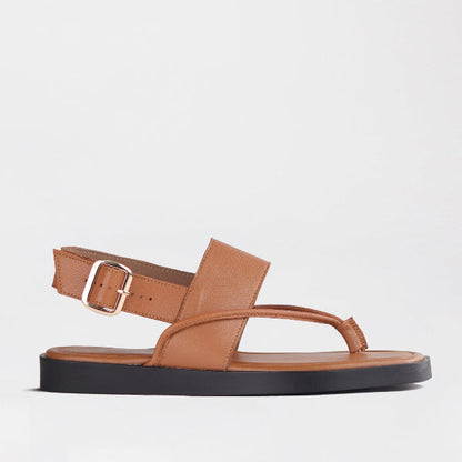 Froggie Shoes Shoes 4 / Tan / 12868 Toe Thong flat sandal in Tan  - 12868