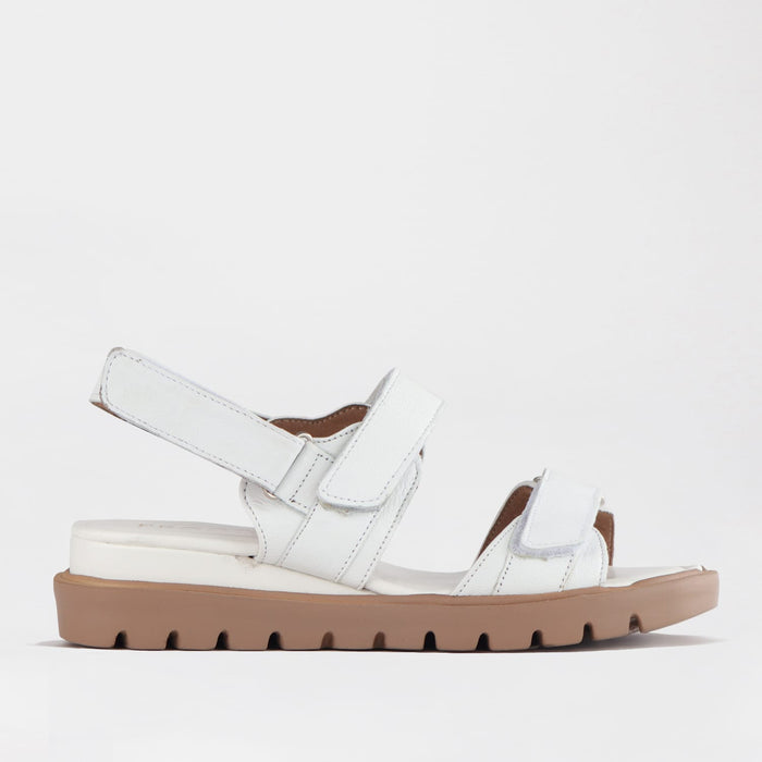 Froggie Shoes Shoes Froggie Women's Velcro straps Sandal-White Leather - 12667