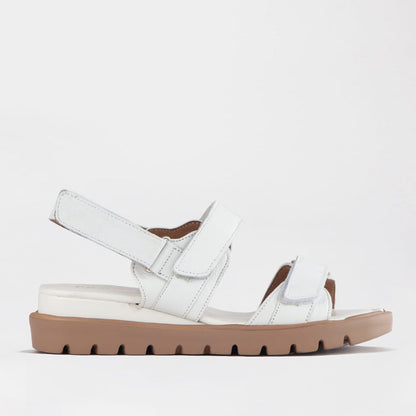 Froggie Shoes Shoes Froggie Women's Velcro straps Sandal-White Leather - 12667