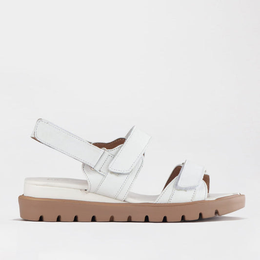 Froggie Shoes Shoes Froggie Women's Velcro straps Sandal-White Leather - 12667