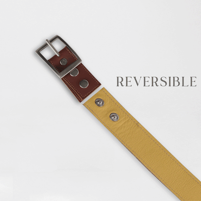 Froggie Shoes Shoes Women's Belt in Butter yellow - 12978