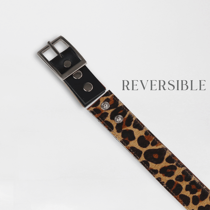 Froggie Shoes Shoes Women's Reversible Belt in Black and Cheetah - 12978