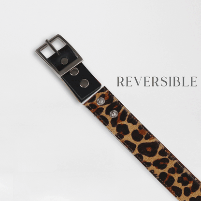 Froggie Shoes Shoes Women's Reversible Belt in Black and Cheetah - 12978